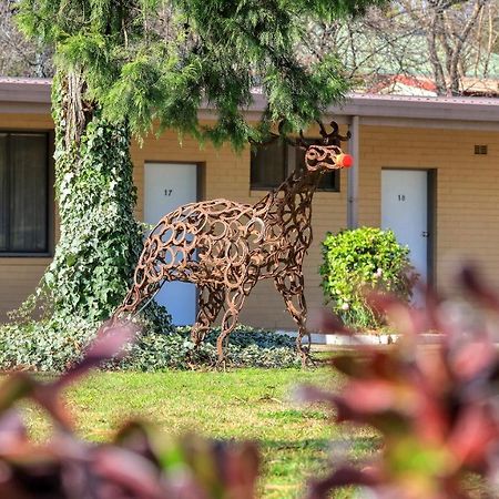 Hamilton Hume Motor Inn Yass Exterior foto