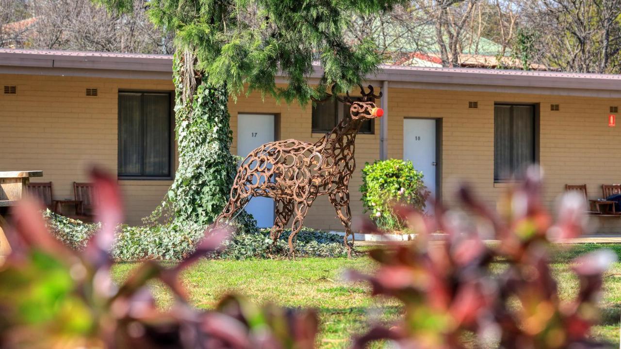 Hamilton Hume Motor Inn Yass Exterior foto